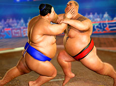 Sumo Wrestling Online